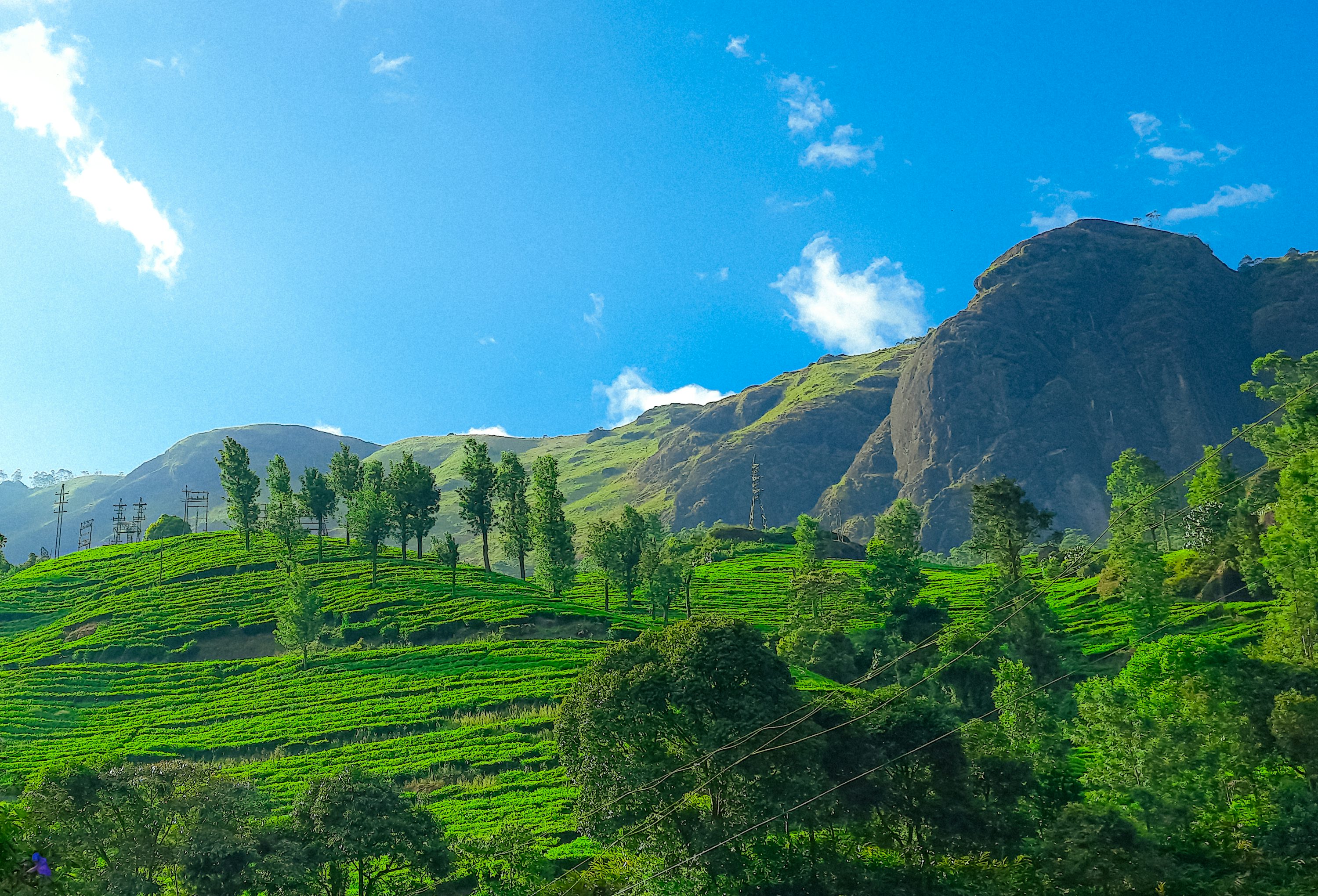 Lush green forested hills
