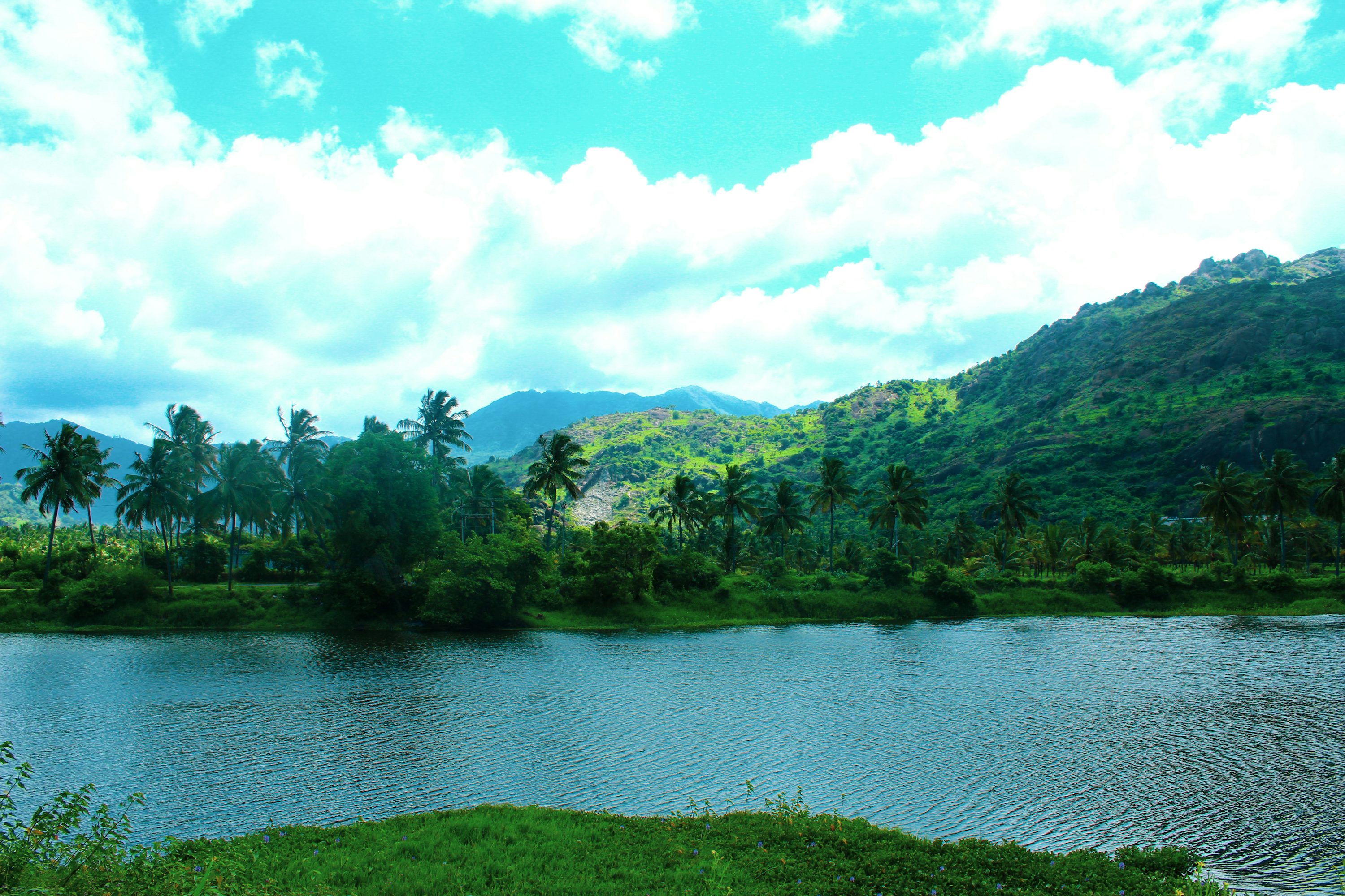 Lush South Indian hill landscape beside a lake