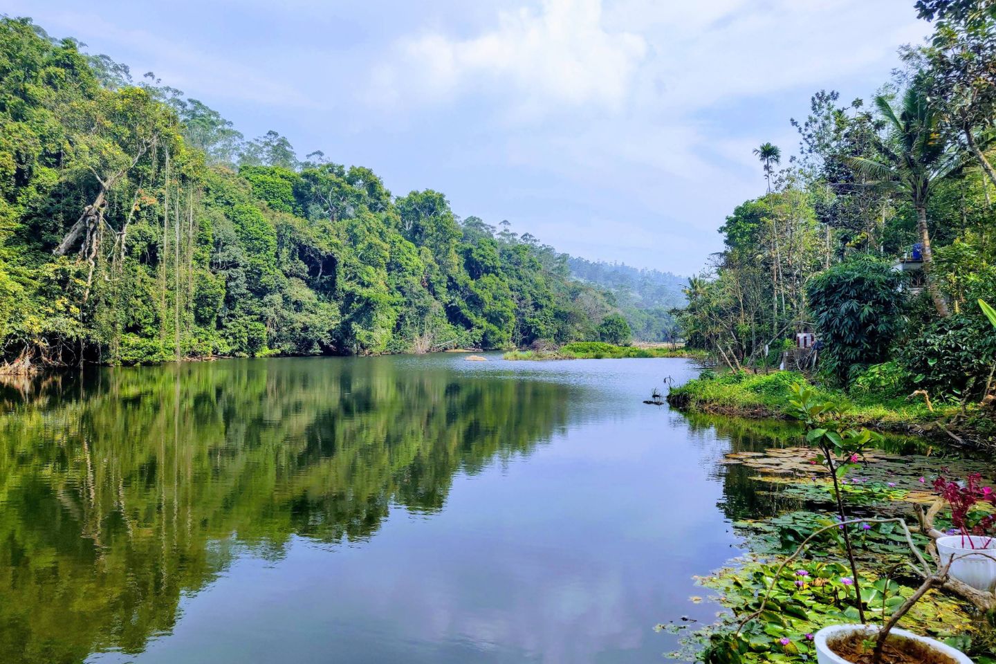 Thekkady forest lake and boat ride