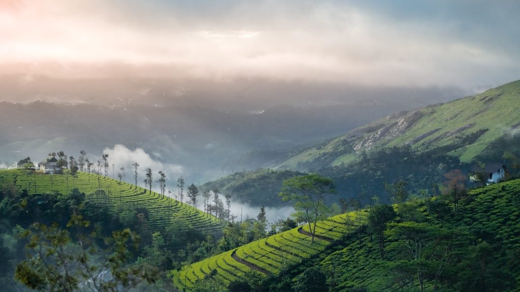 Vagamon green hills and tea country